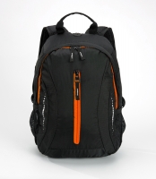 LPN550OR